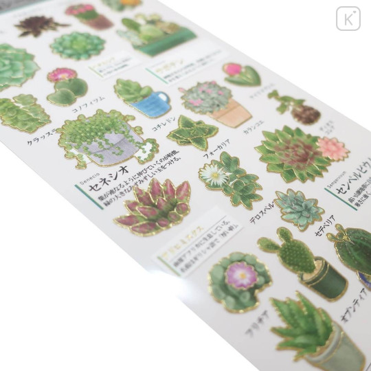 Japan Picture Book Sticker - Succulent Plant - 2