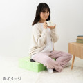 Japan Sanrio Original Gingham Cushion - Hangyodon - 4
