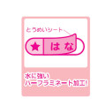 Japan Disney Name Tag Sticker - Princess Gathering - 2