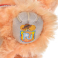 Japan Disney UniBearsity Plush Keychain - Woody - 4