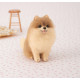 Japan Hamanaka Aclaine Needle Felting Kit - Pomeranian Dog