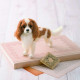 Japan Hamanaka Wool Needle Felting Kit - Cavalier Dog