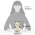Japan Disney Store Plush Toy - Figaro : Doze - 6
