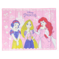 Japan Disney Picnic Blanket - Princesses / Ariel & Rapunzel & Snow White - 1
