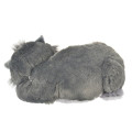 Japan Disney Store Plush - Lucifer : Gororin Relaxing - 5