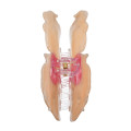 Japan Disney Store Pearl Acrylic Hair Claw Clip - Lady - 6