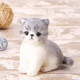 Japan Hamanaka Aclaine Needle Felting Kit - Exotic Shorthair