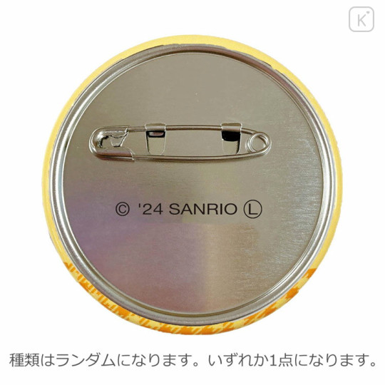 Japan Sanrio Secret Badge - Pochacco / Blind Box - 2