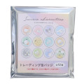 Japan Sanrio Secret Badge - Characters Dreamy Garden / Blind Box - 1