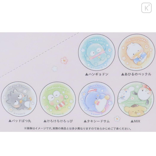 Japan Sanrio Secret Badge - Characters Dreamy Garden / Blind Box - 3