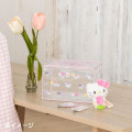 Japan Sanrio Original Clear Storage Box - Pastel Checker - 6