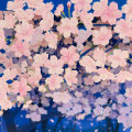 Japan Famous Scenery 3D Greeting Card - Cat & Sakura Cherry Blossom / Night - 3
