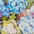 Japan Famous Scenery 3D Greeting Card - Early Summer / Hydrangea / Specially For You - 2