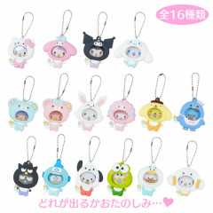Charms & Keychains