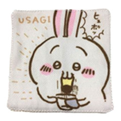 Japan Chiikawa Fabric Coaster - Rabbit / Pudding