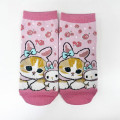 Japan Sanrio × Mofusand Rib Socks - Cat / My Melody - 1