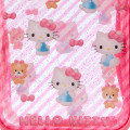 Japan Sanrio Original Clear Pouch - Hello Kitty / Clear and Plump 3D - 3