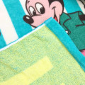 Japan Disney Nap Blanket - Mickey Mouse & Friends / Green - 3