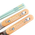 Japan Peanuts Chopsticks & Spoon & Fork with Case - Snoopy / Orange & Green - 3