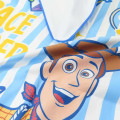 Japan Disney Quick Dry Beach Towel - Toy Story - 2