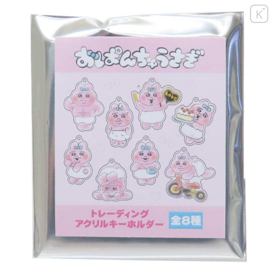 Japan Panchu Rabbit Secret Acrylic Keychain - Blind Box - 1