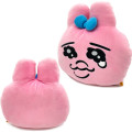 Japan Panchu Rabbit Cushion - Face - 2