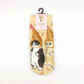 Japan Mofusand Rib Socks - Cat / Fried Shrimp Cream - 4