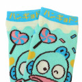 Japan Sanrio Socks - Hangyodon / Show Time - 2