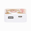 Japan Mofusand Usb & Usb-C Port AC Adapter - Cat / Donut - 4