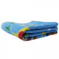 Japan Disney Fluffy Towel - Toy Story Sky Blue - 4