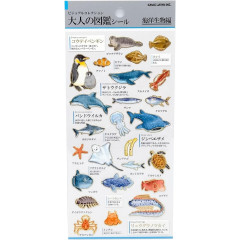 Japan Picture Book Sticker - Marine Life