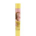 Japan Tokyo Disney Resort Bamboo Chopsticks Set 21cm - Belle Beauty and the Beast - 3