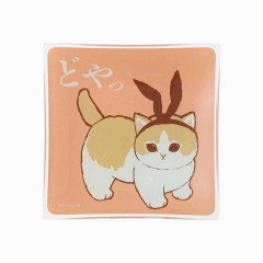 Japan Mofusand Square Glass Tray - Look At Me