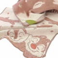 Japan Disney Jacquard Face Towel - Chip & Dale / My Twin - 2