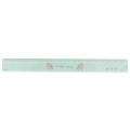 Japan Disney 17cm Ruler - Chip & Dale : Mint - 1