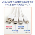 Japan San-X Multi Charging Cable - Rilakkuma - 3