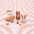 Japan Hamanaka Aclaine Needle Felting Kit - Shiba Inu & Chihuahua & Miniature Dachshund - 1