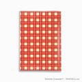 Japan Moomin B6 Planner Monthly Schedule Book - 2025 / Little My Gingham Red - 2