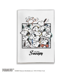 Japan Peanuts B6 Planner Monthly Schedule Book - 2025 / Snoopy & Brothers