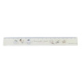 Japan Sanrio 17cm Ruler - Cinnamoroll / Closet - 1