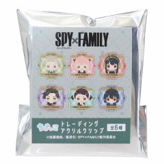 Japan Spy × Family Secret Acrylic Clip - Pixel Style / Blind Box