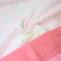 Japan Pokemon Nap Blanket - Alcremie & Pikachu / Pink - 2