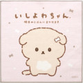 Japan San-X Mini Towel - Ishiyowa-chan B - 1