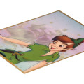 Japan Disney Store Japanese Signature Board - Peter Pan - 5