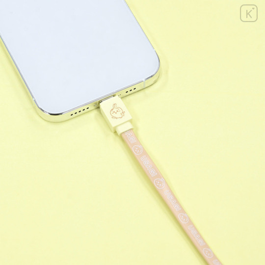 Japan Chiikawa PD60W USB Type-C Cable - Usagi - 3