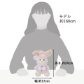 Japan Disney Store Plush Toy (S) - Piglet : White Pooh Fruit Color Cape - 6