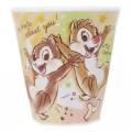 Japan Disney Acrylic Tumbler - Chip & Dale Funtime - 1