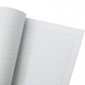 Japan Disney B5 Glue Blank Notebook - Chip & Dale - 2
