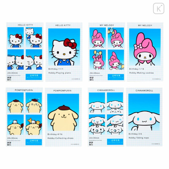 Japan Sanrio Secret ID Photo Sticker - Sanrio Characters : Blind Box - 3