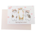 Japan Mofusand 3D Greeting Card - Cat : Flower Nyan Sakura Happy Spring - 2